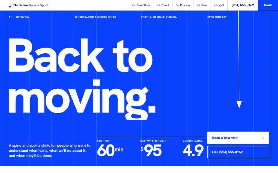 First screen of the Plumb Line Spine & Sport sample site