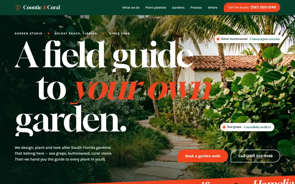 First screen of the Coontie & Coral sample site