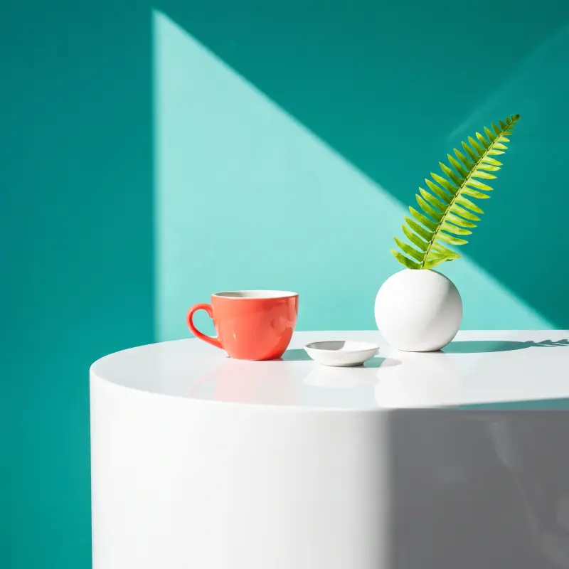 A ceramic cup and a fern cutting on the front counter