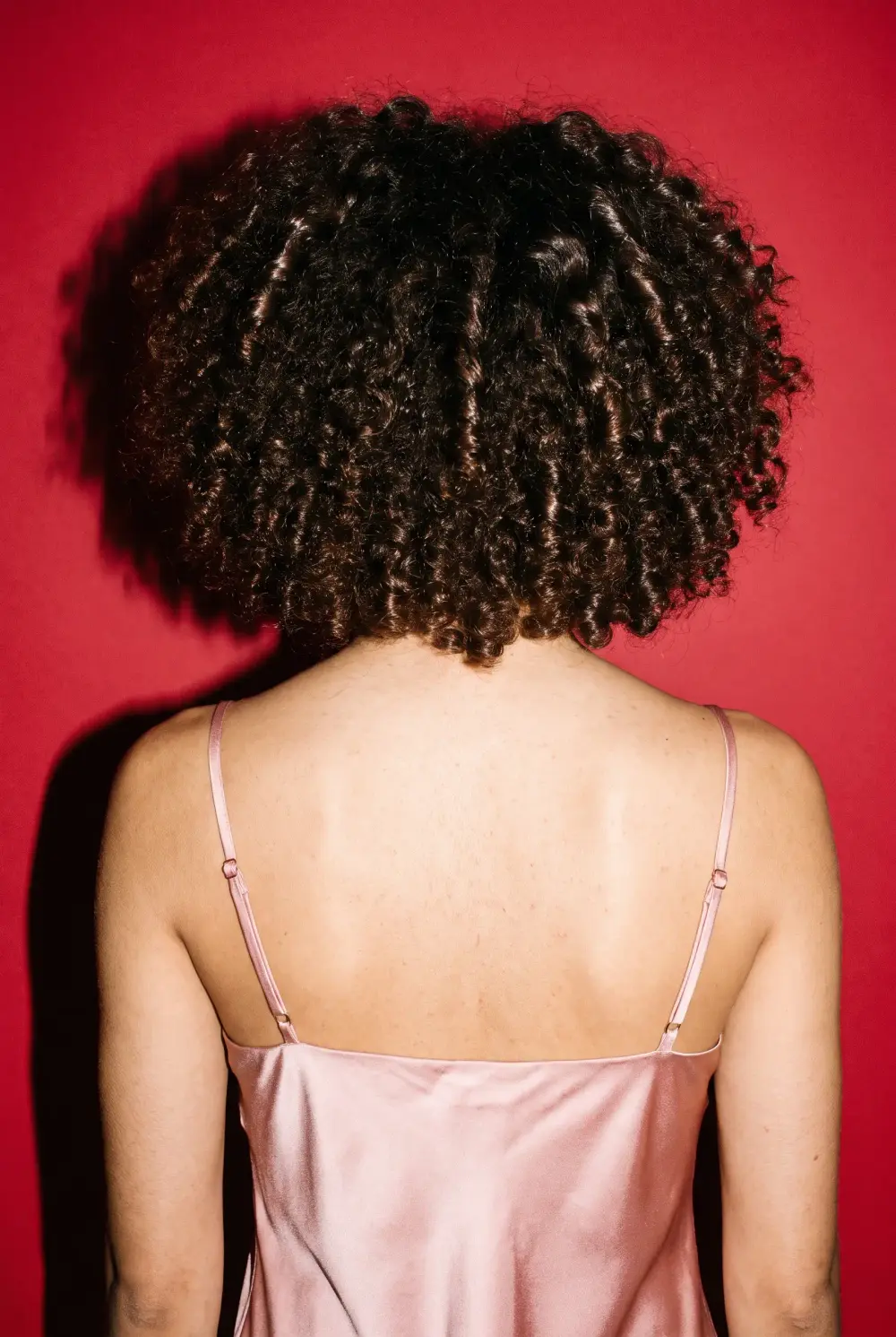 A rounded shape of defined dark curls seen from behind against a red backdrop.